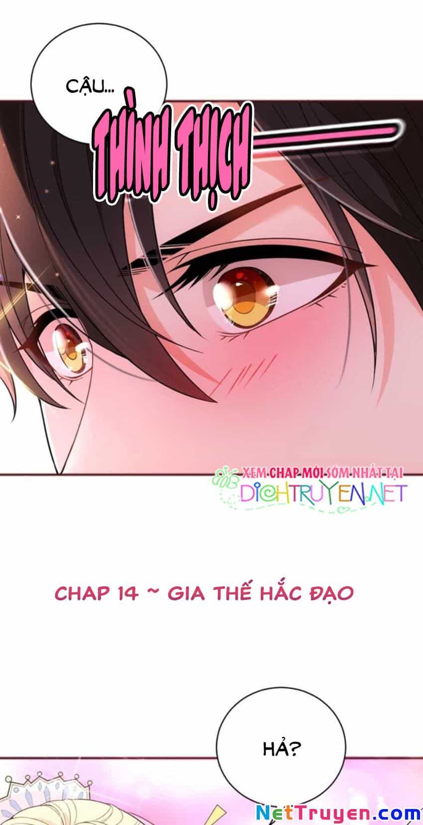 Chọc Phải Điện Hạ Yêu Nghiệt - Chương 14 - ảnh 1