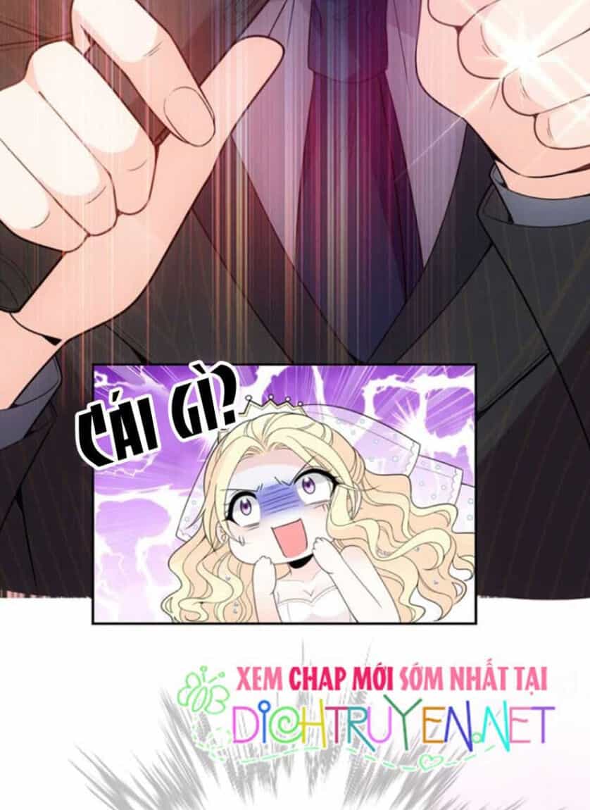 Chọc Phải Điện Hạ Yêu Nghiệt - Chương 16 - ảnh 19