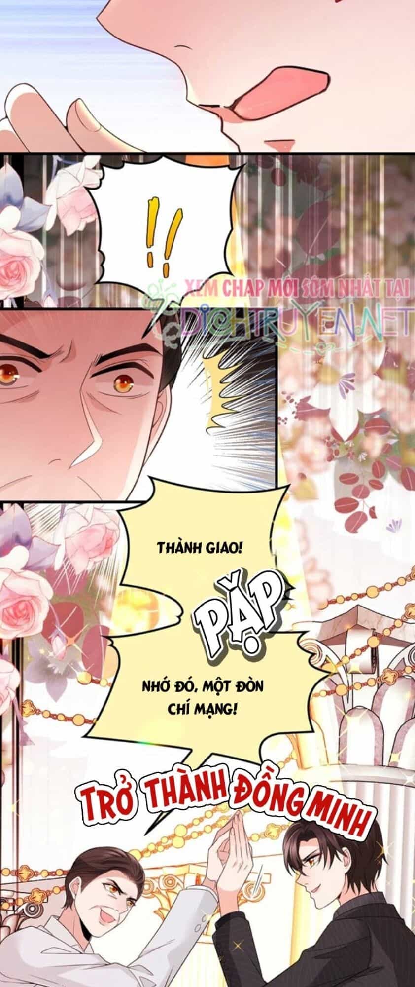 Chọc Phải Điện Hạ Yêu Nghiệt - Chương 19 - ảnh 11