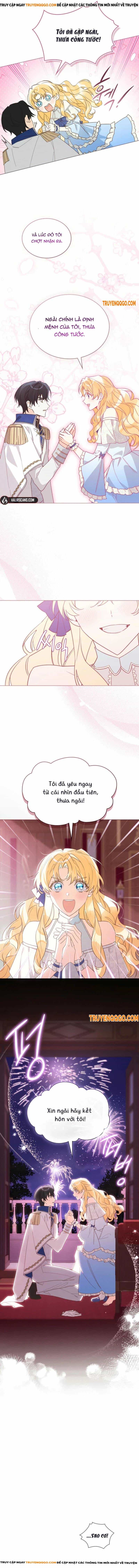 Chồng Đang Truy Tìm Tôi - Chương 2 - ảnh 11