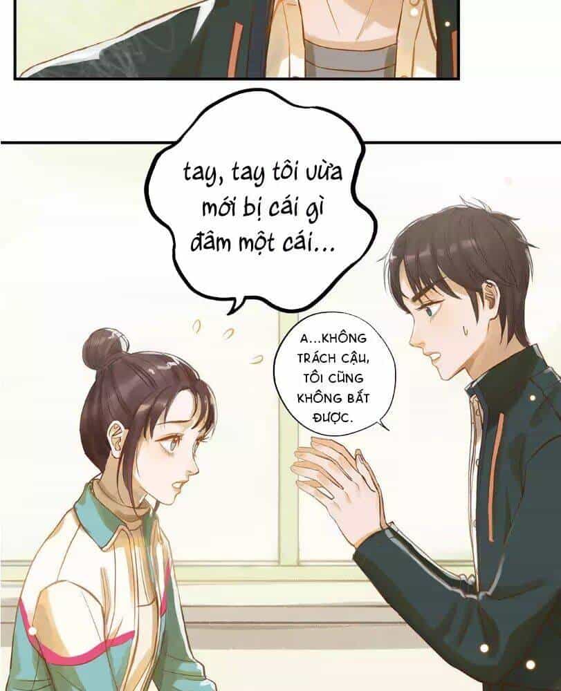 Chồng Trước 18 Tuổi - Chương 11 - ảnh 19