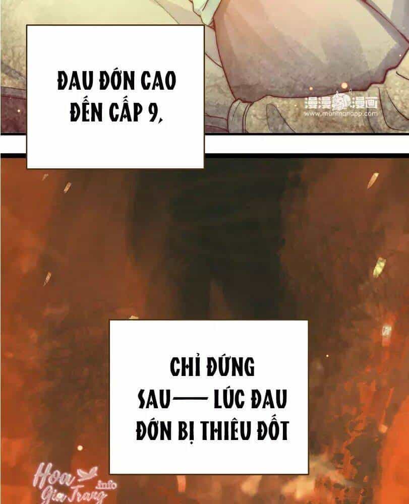 Chồng Trước 18 Tuổi - Chương 11 - ảnh 8