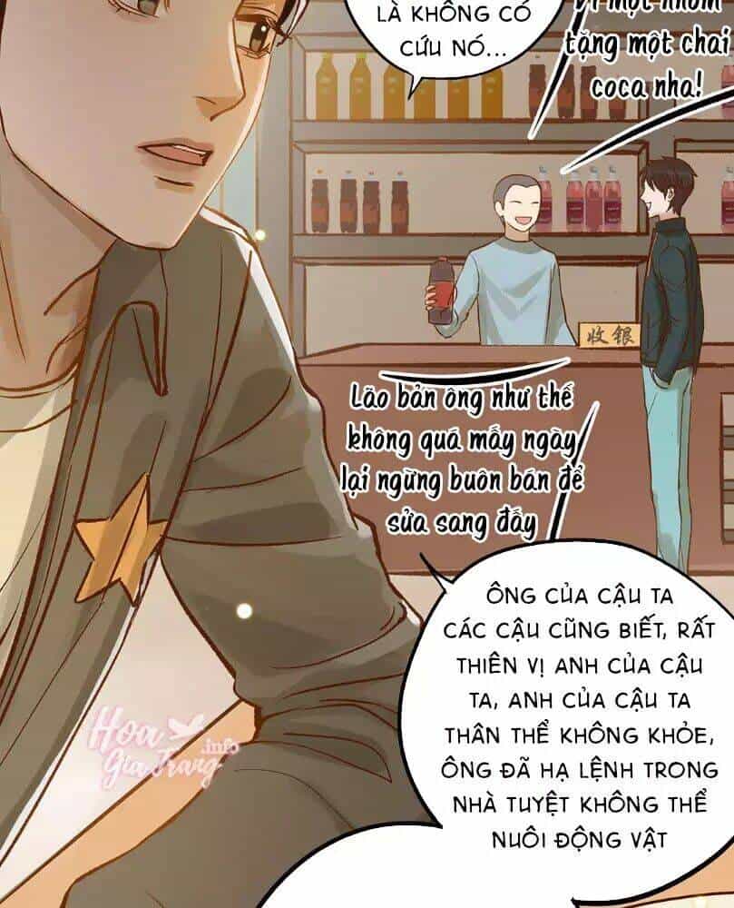 Chồng Trước 18 Tuổi - Chương 12 - ảnh 39