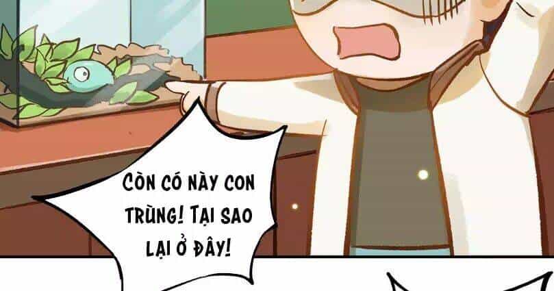 Chồng Trước 18 Tuổi - Chương 12 - ảnh 49