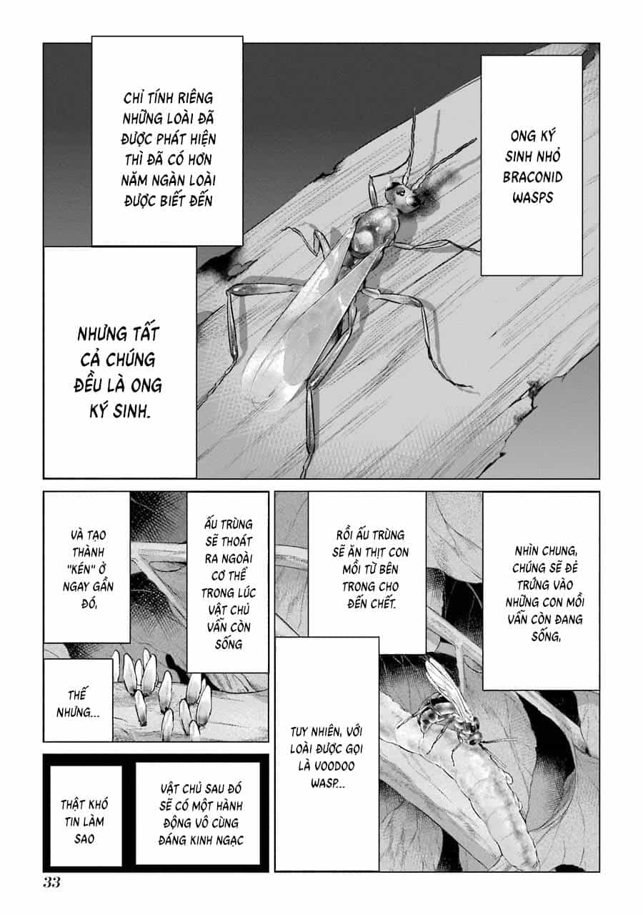 Choubu No Shinobi - Chương 1 - ảnh 33