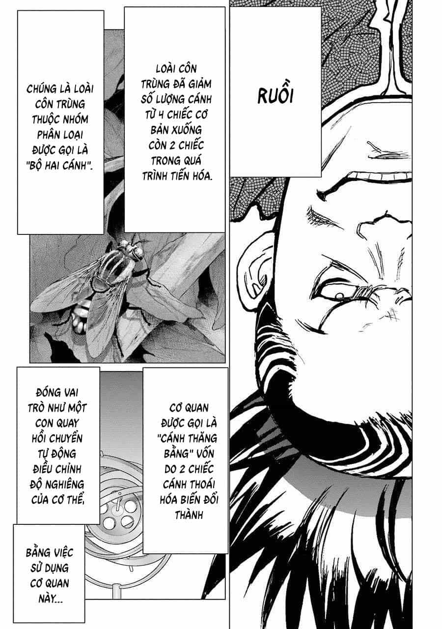 Choubu No Shinobi - Chương 13 - ảnh 27