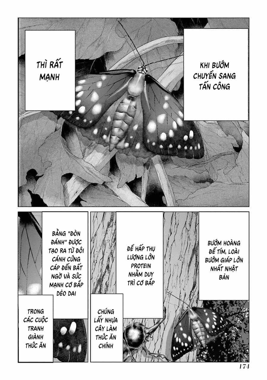 Choubu No Shinobi - Chương 14 - ảnh 16