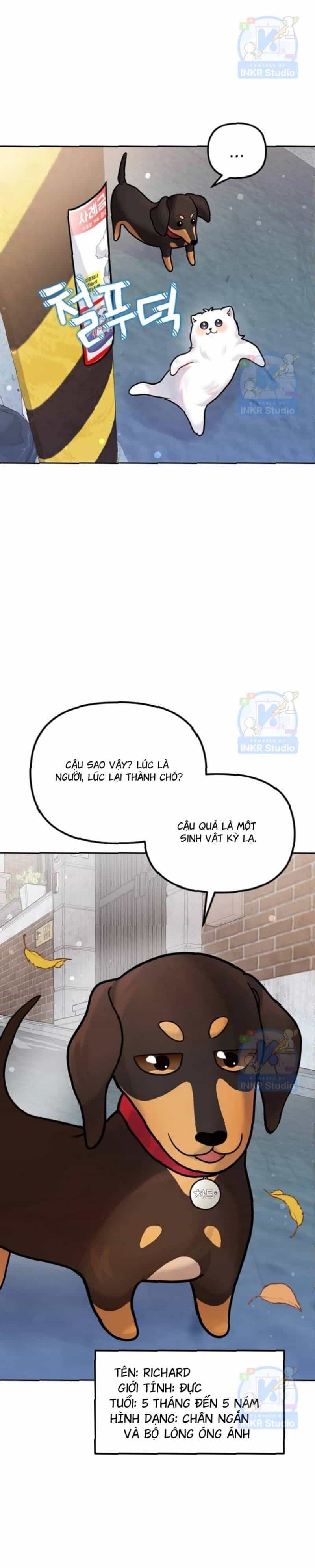 Chú Cún Con Đầy Nam Tính - Chương 9.42 - ảnh 48