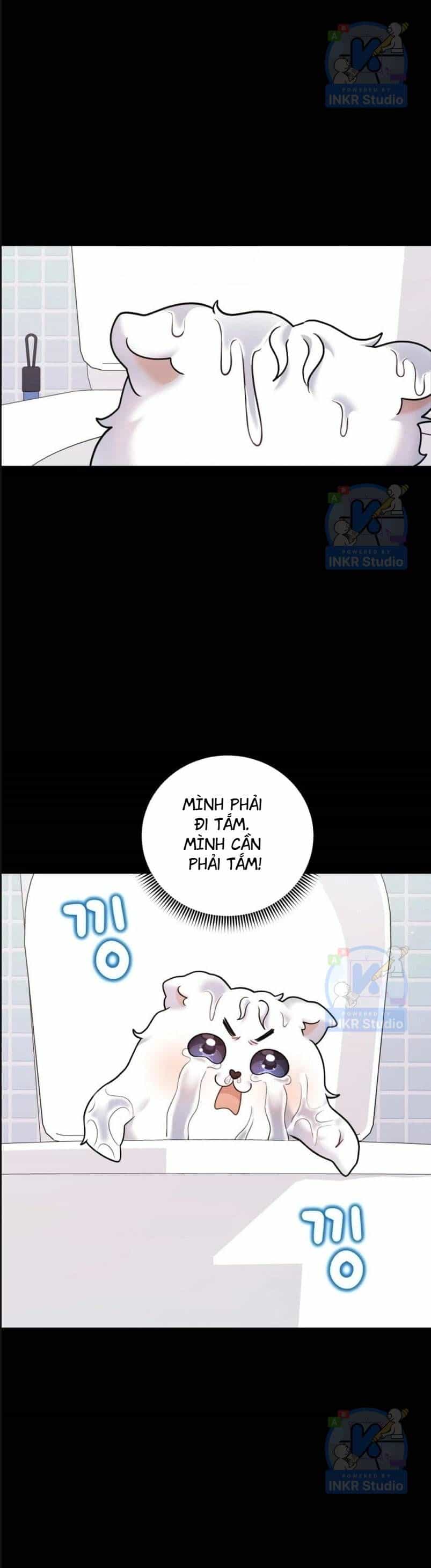 Chú Cún Con Đầy Nam Tính - Chương 3.1 - ảnh 21
