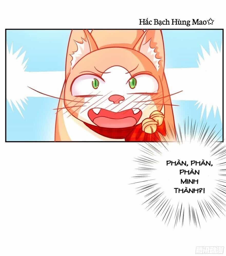 Chủ Nhân Là Ảnh Đế - Chương 1.5 - ảnh 34