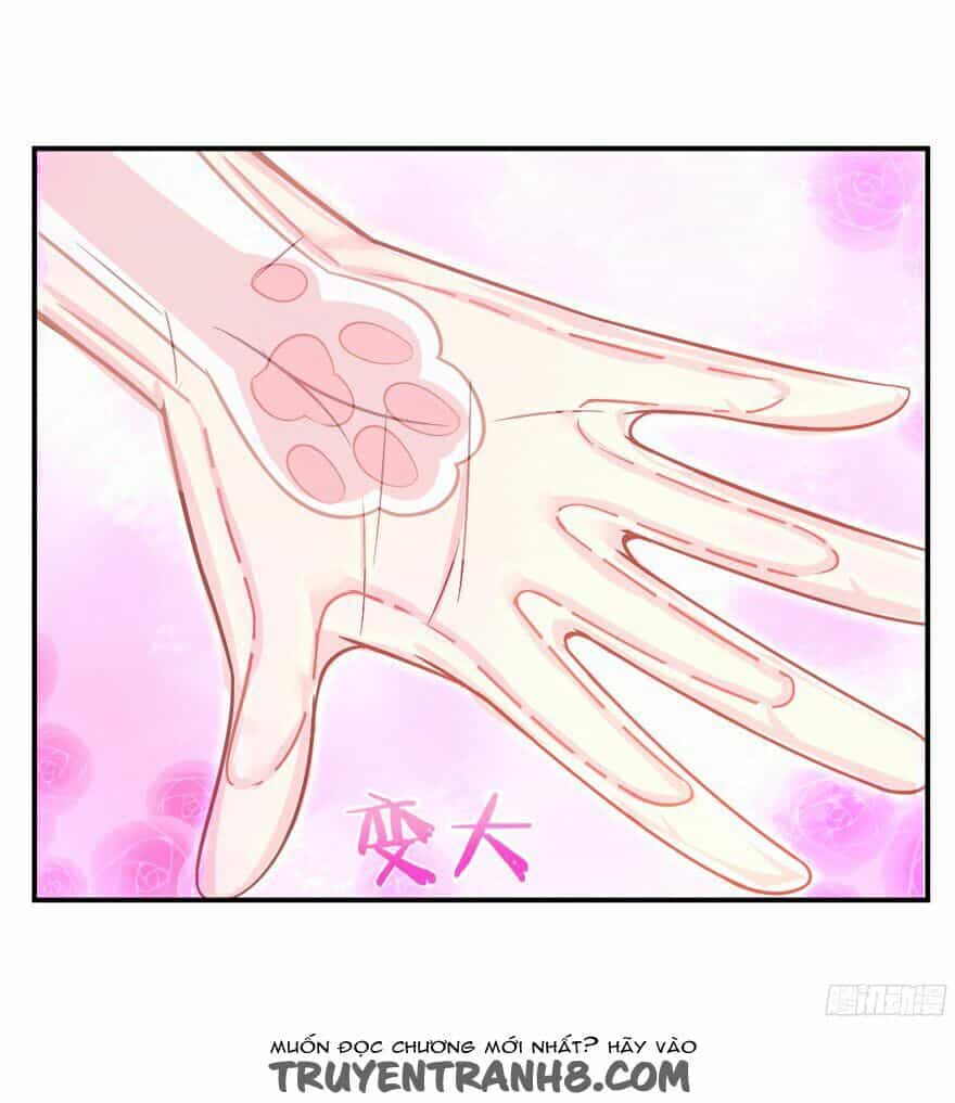 Chủ Nhân Là Ảnh Đế - Chương 1.6 - ảnh 36