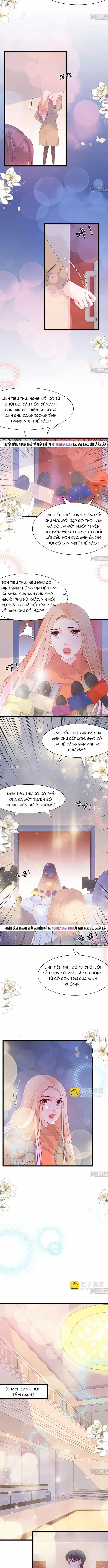 Chu Tiên Sinh, Ép Cưới Phạm Pháp Đó - Chương 106 - ảnh 3