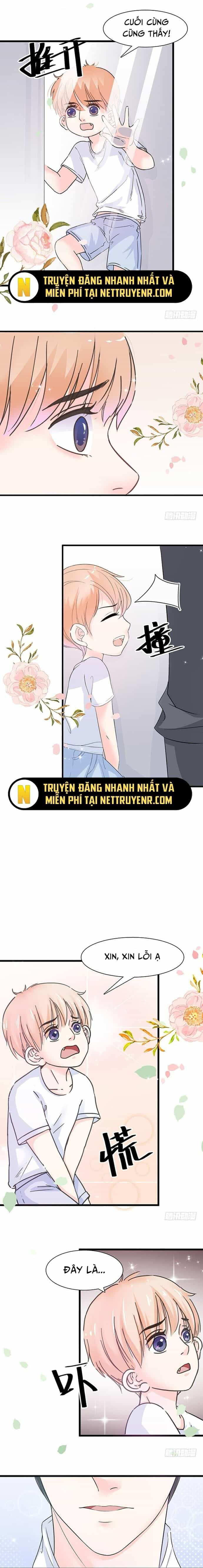 Chu Tiên Sinh, Ép Cưới Phạm Pháp Đó - Chương 11 - ảnh 5