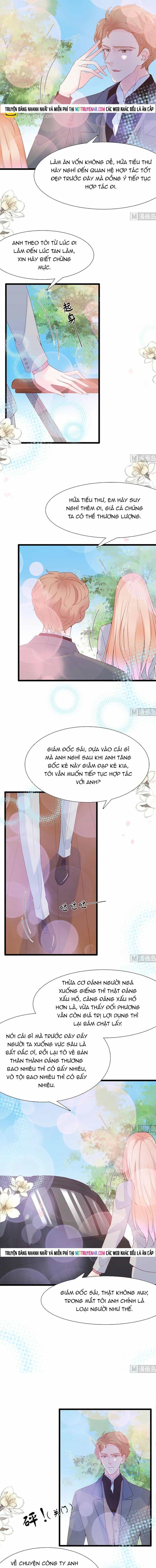 Chu Tiên Sinh, Ép Cưới Phạm Pháp Đó - Chương 112 - ảnh 5