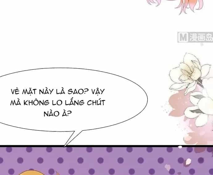 Chu Tiên Sinh, Ép Cưới Phạm Pháp Đó - Chương 119 - ảnh 33