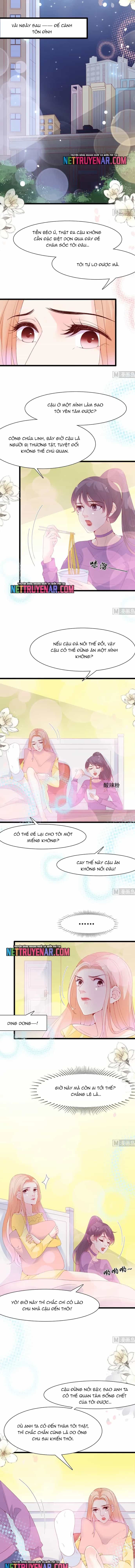 Chu Tiên Sinh, Ép Cưới Phạm Pháp Đó - Chương 121 - ảnh 2