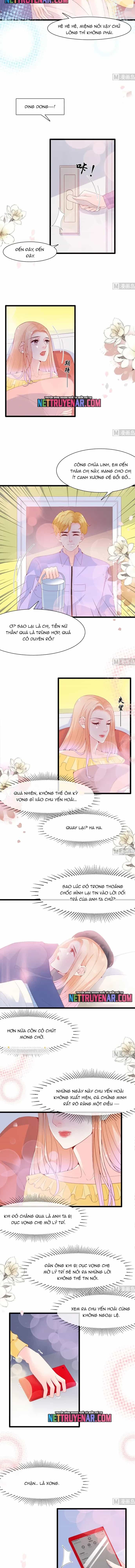 Chu Tiên Sinh, Ép Cưới Phạm Pháp Đó - Chương 121 - ảnh 3