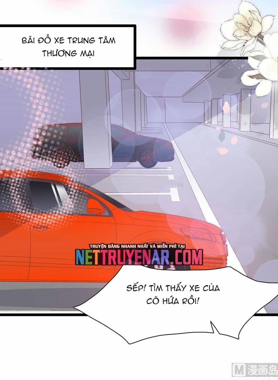 Chu Tiên Sinh, Ép Cưới Phạm Pháp Đó - Chương 154 - ảnh 8