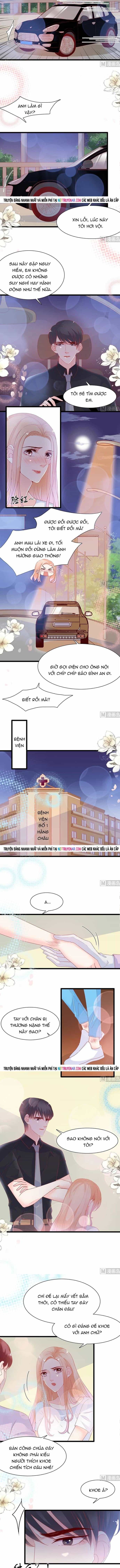 Chu Tiên Sinh, Ép Cưới Phạm Pháp Đó - Chương 164 - ảnh 3