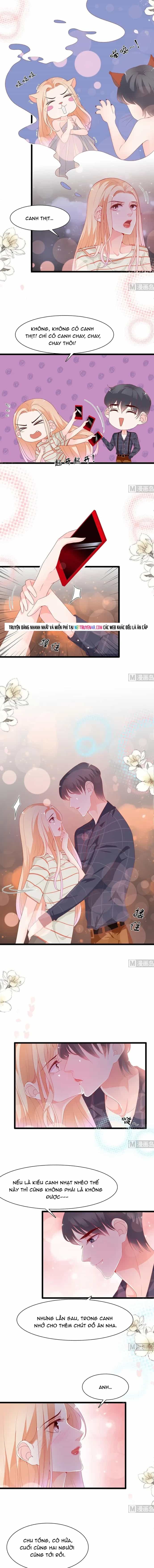 Chu Tiên Sinh, Ép Cưới Phạm Pháp Đó - Chương 175 - ảnh 4