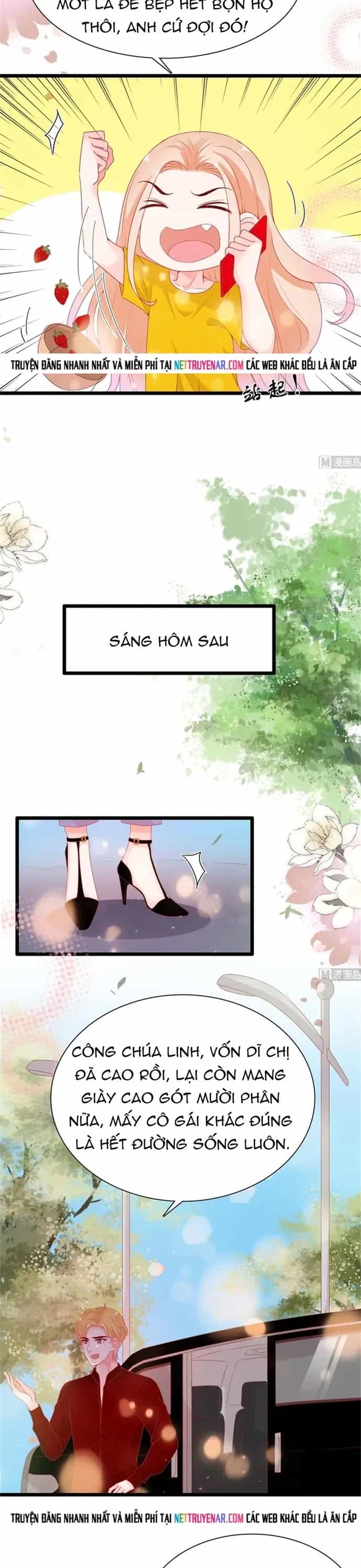 Chu Tiên Sinh, Ép Cưới Phạm Pháp Đó - Chương 185 - ảnh 7
