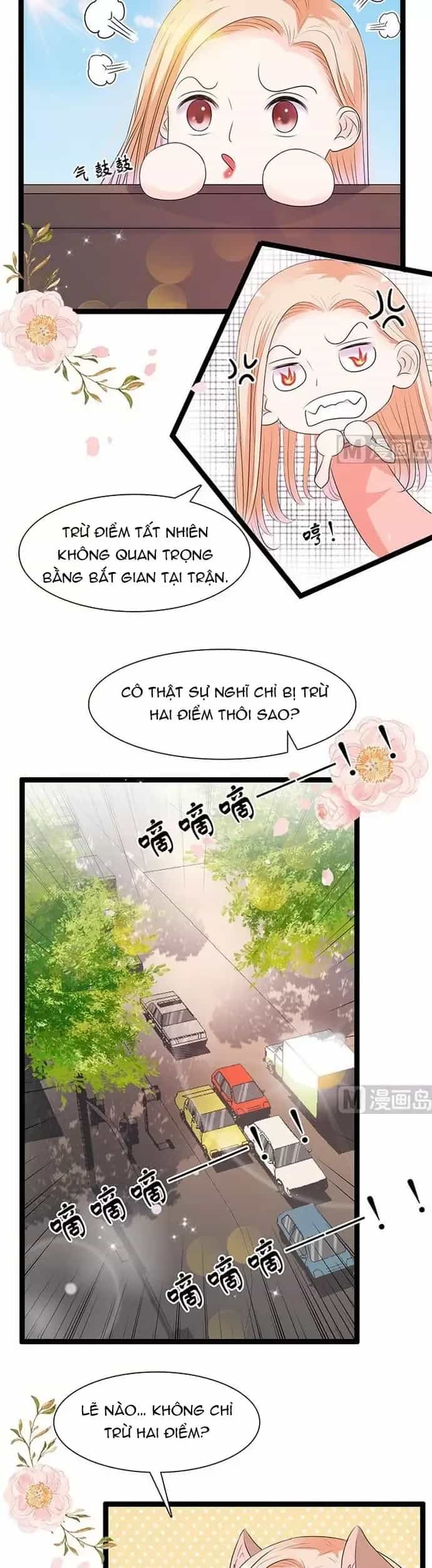 Chu Tiên Sinh, Ép Cưới Phạm Pháp Đó - Chương 47 - ảnh 10