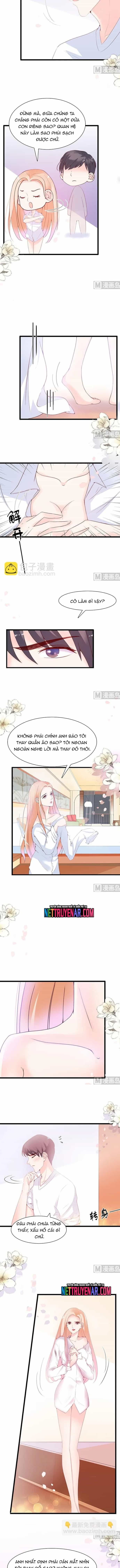 Chu Tiên Sinh, Ép Cưới Phạm Pháp Đó - Chương 63 - ảnh 4