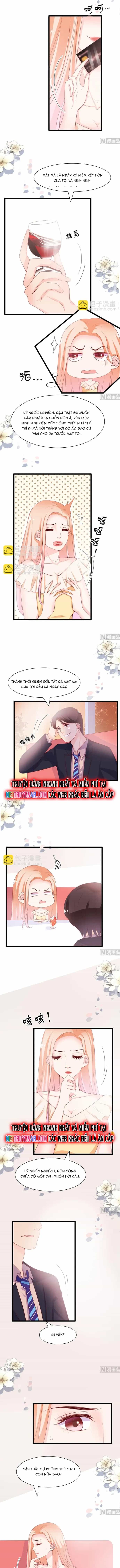 Chu Tiên Sinh, Ép Cưới Phạm Pháp Đó - Chương 65 - ảnh 3