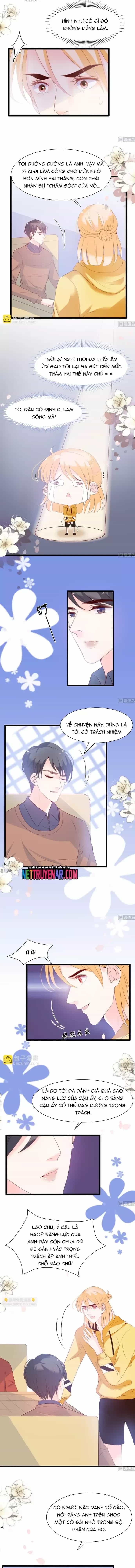 Chu Tiên Sinh, Ép Cưới Phạm Pháp Đó - Chương 66 - ảnh 3