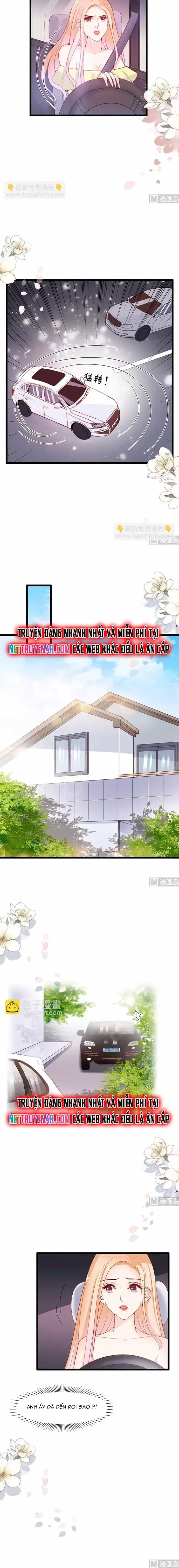 Chu Tiên Sinh, Ép Cưới Phạm Pháp Đó - Chương 68 - ảnh 5