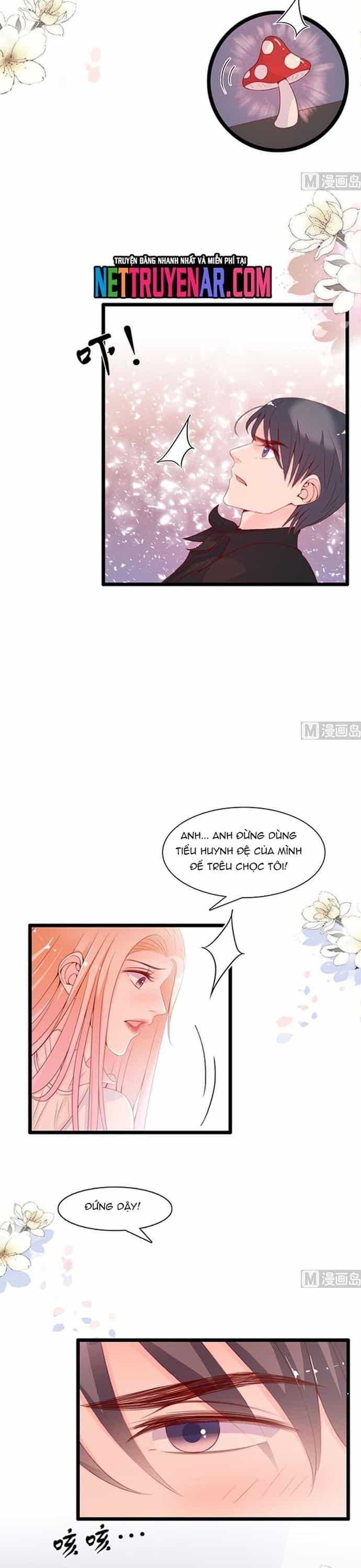 Chu Tiên Sinh, Ép Cưới Phạm Pháp Đó - Chương 73 - ảnh 11