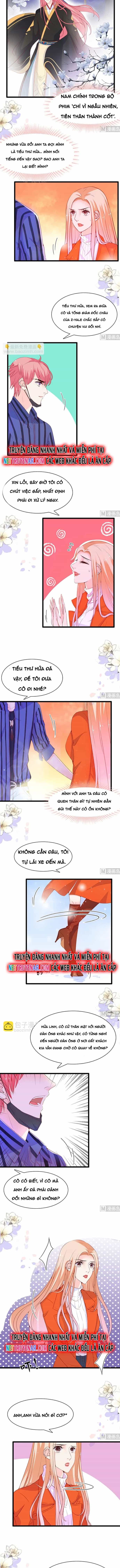 Chu Tiên Sinh, Ép Cưới Phạm Pháp Đó - Chương 85 - ảnh 3