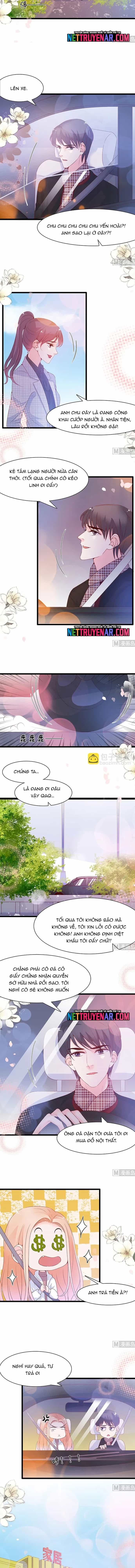 Chu Tiên Sinh, Ép Cưới Phạm Pháp Đó - Chương 96 - ảnh 3