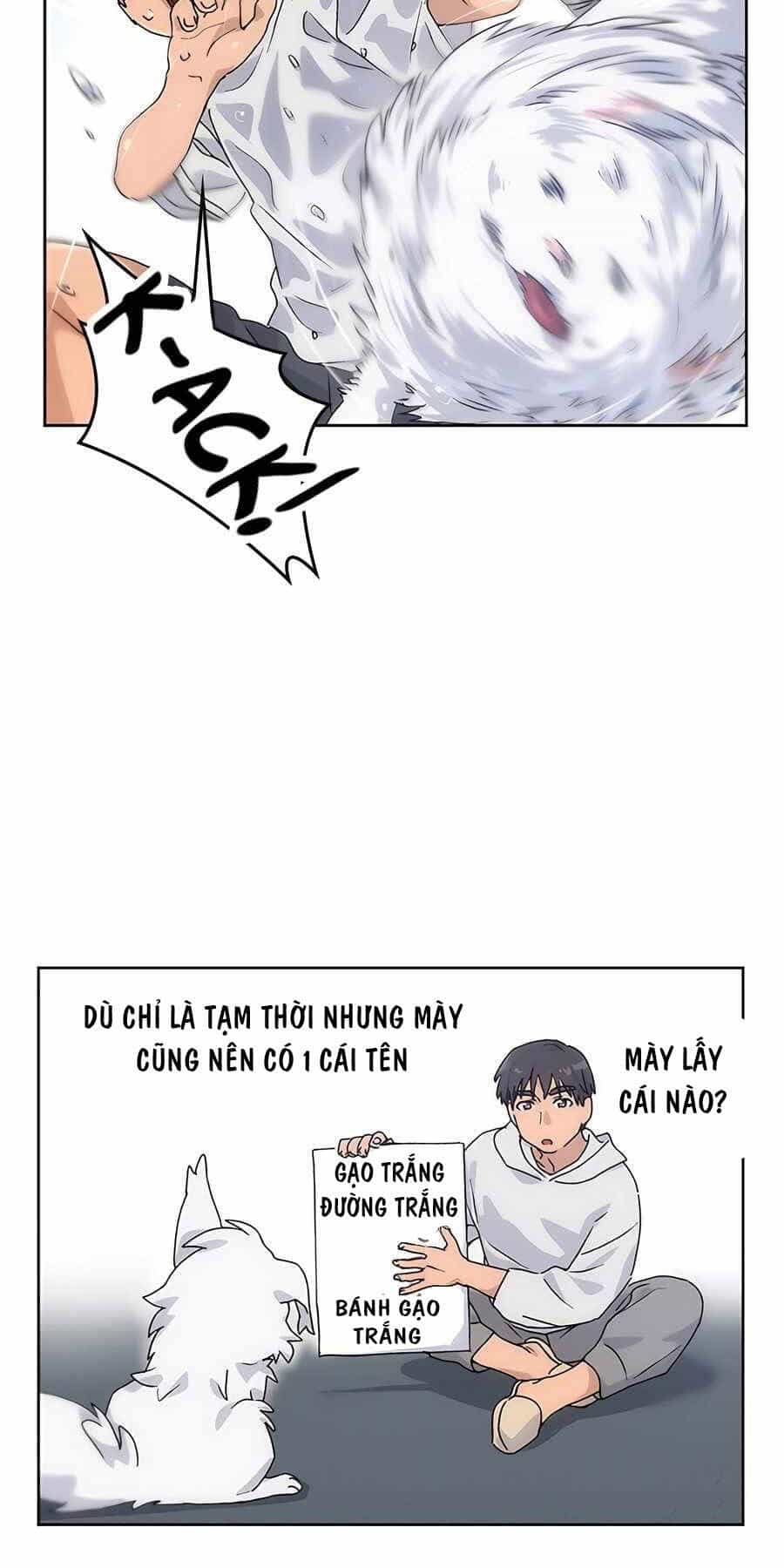 Chữa Lành Cuộc Sống Thông Qua Cắm Trại Ở Thế Giới Khác - Chương 2 - ảnh 32