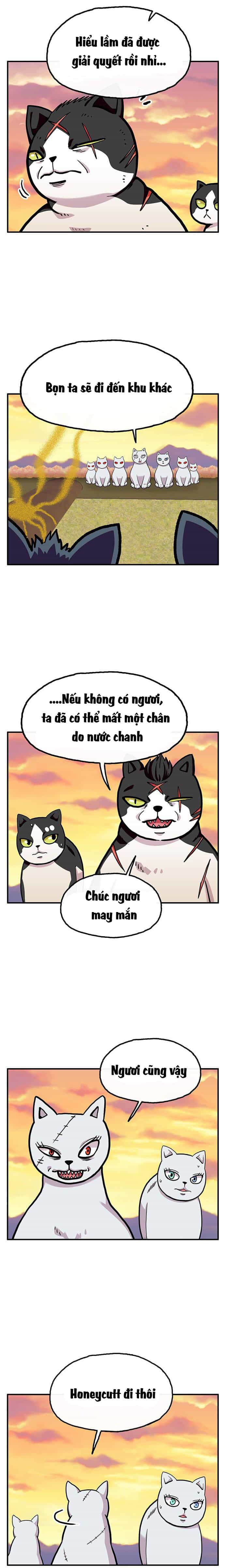 Chúa Tể Muôn Loài - Chương 27 - ảnh 17