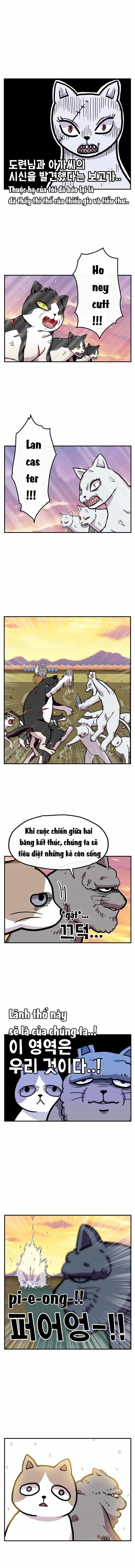 Chúa Tể Muôn Loài - Chương 27 - ảnh 8