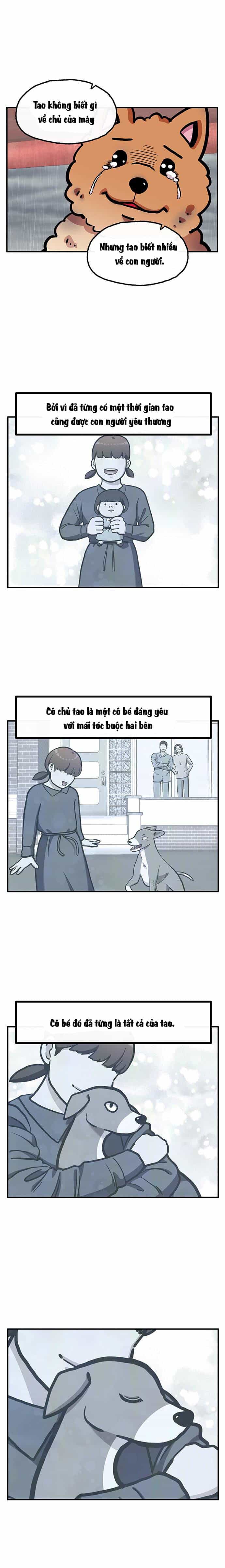 Chúa Tể Muôn Loài - Chương 30 - ảnh 17