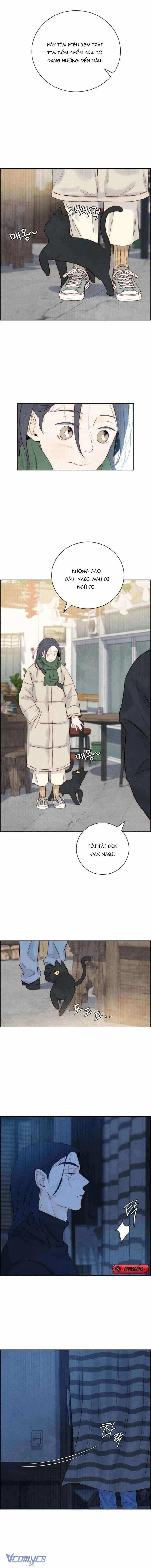 Chưa Từng Chạm Tới Em - Chương 3 - ảnh 15