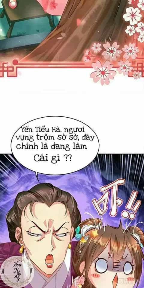 Chưởng Gia Tiểu Nương Tử - Chương 1 - ảnh 12