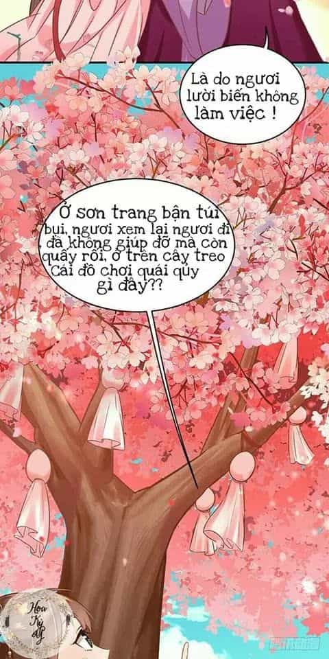 Chưởng Gia Tiểu Nương Tử - Chương 1 - ảnh 14
