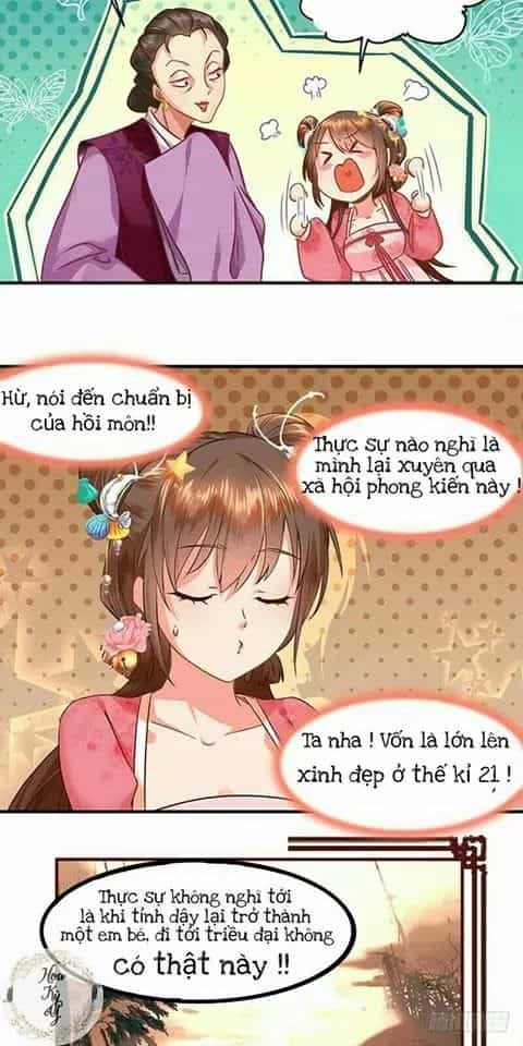 Chưởng Gia Tiểu Nương Tử - Chương 1 - ảnh 17