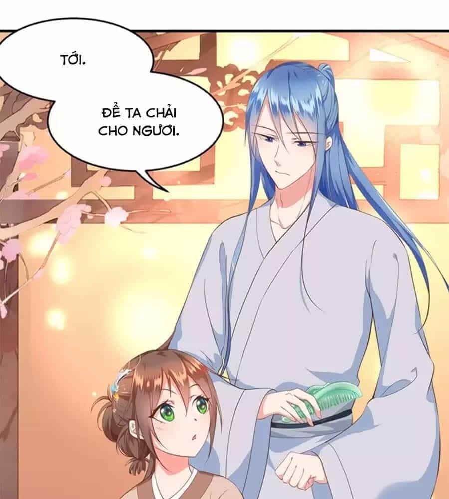 Chưởng Gia Tiểu Nương Tử - Chương 11 - ảnh 23