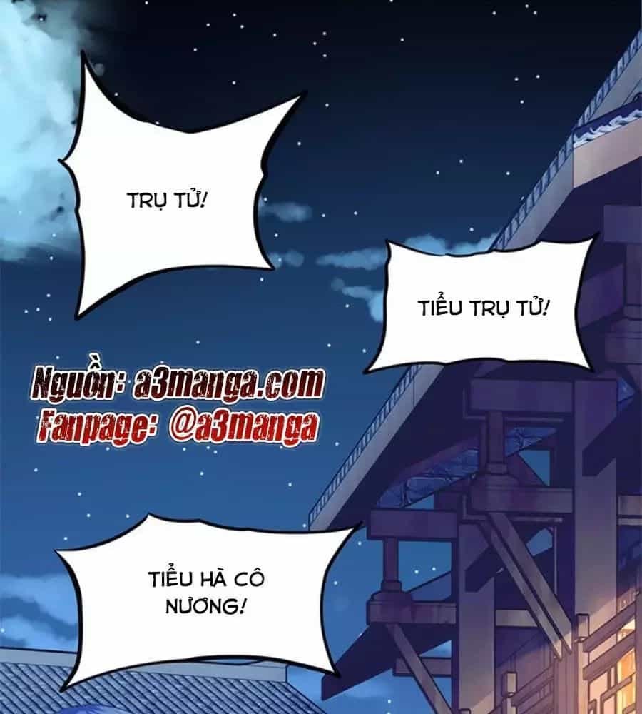 Chưởng Gia Tiểu Nương Tử - Chương 6 - ảnh 1