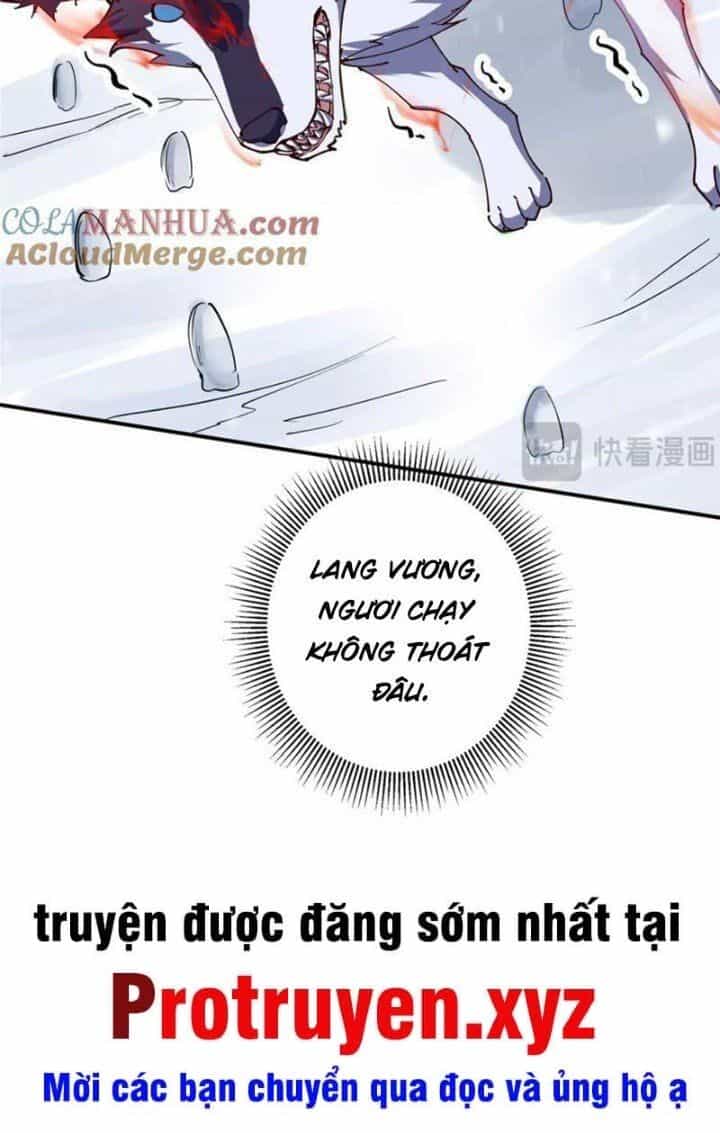 Chưởng Môn Khiêm Tốn Chút - Chương 233 - ảnh 64