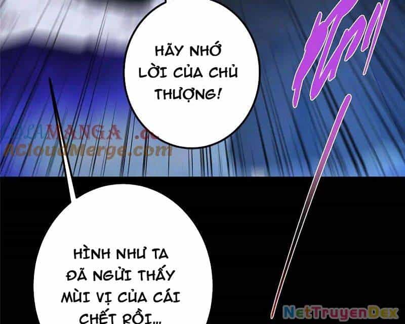 Chưởng Môn Khiêm Tốn Chút - Chương 456 - ảnh 66