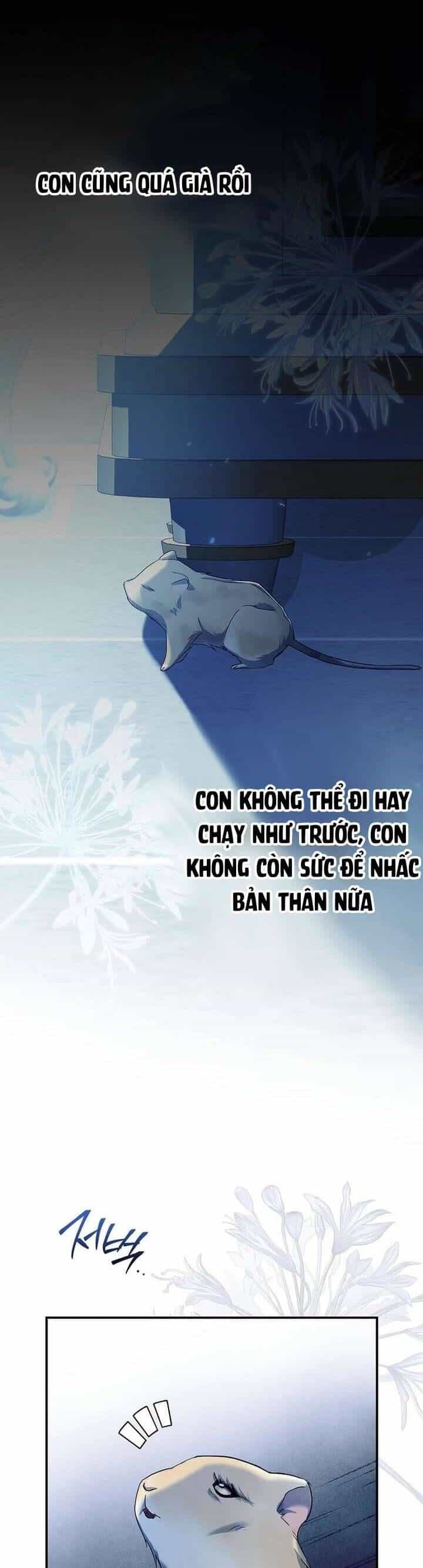 Chuột Đồng Này Sẽ Đưa Lọ Lem Đi - Chương 1 - ảnh 14