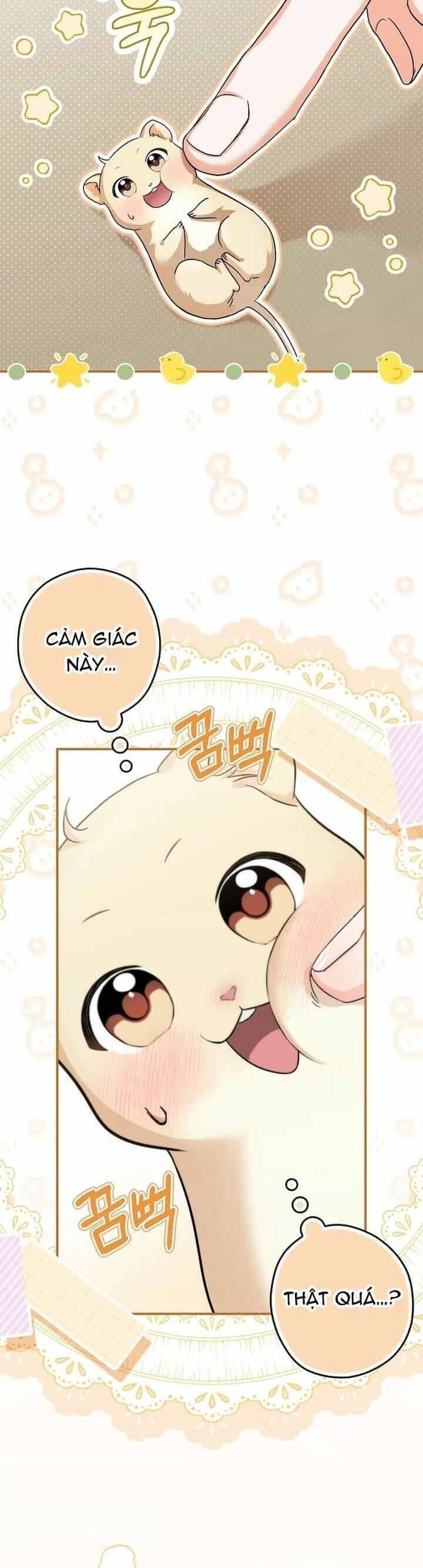 Chuột Đồng Này Sẽ Đưa Lọ Lem Đi - Chương 1 - ảnh 38