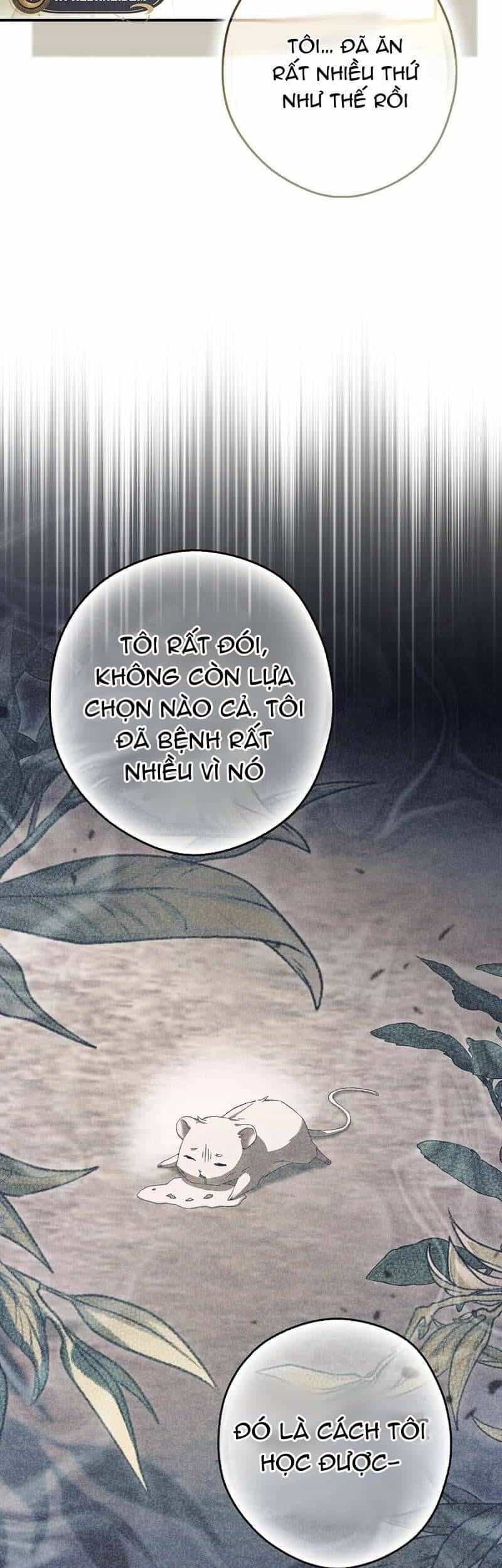 Chuột Đồng Này Sẽ Đưa Lọ Lem Đi - Chương 11 - ảnh 47