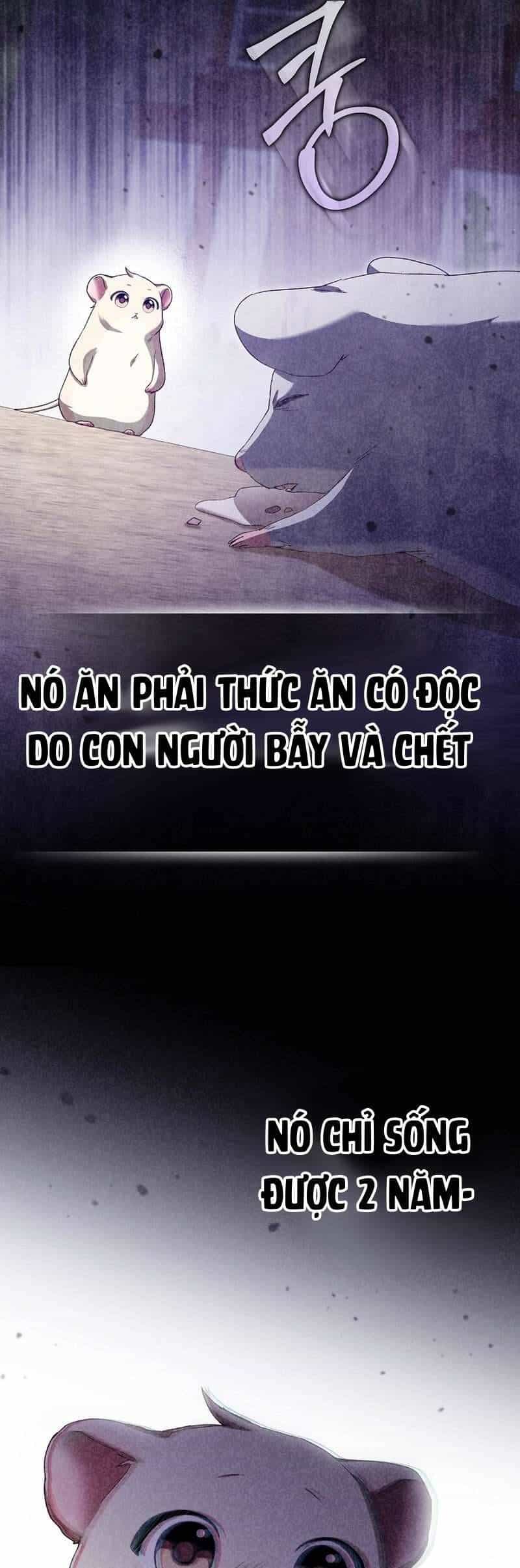 Chuột Đồng Này Sẽ Đưa Lọ Lem Đi - Chương 11 - ảnh 53