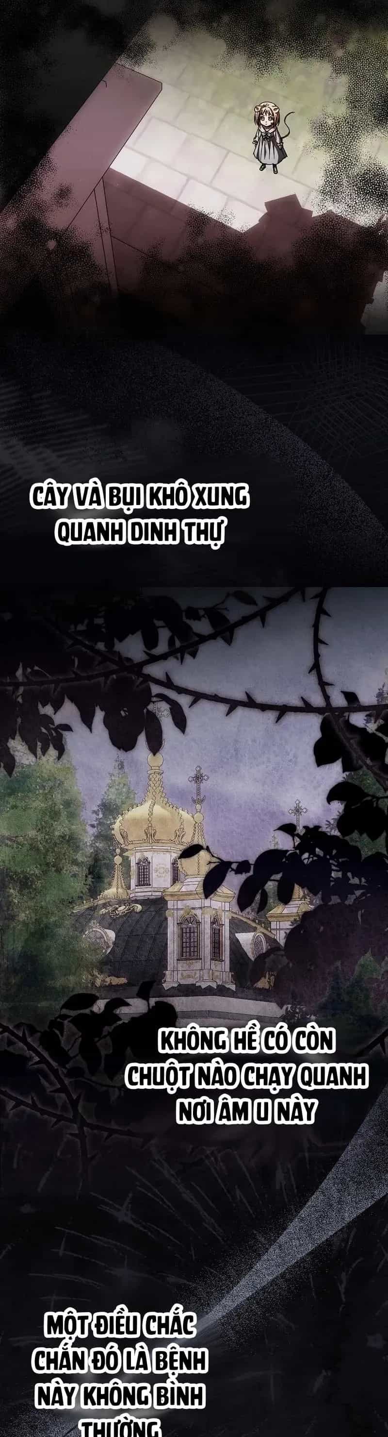 Chuột Đồng Này Sẽ Đưa Lọ Lem Đi - Chương 23 - ảnh 31
